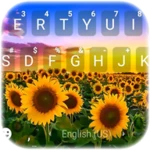 sunflower field theme android application logo